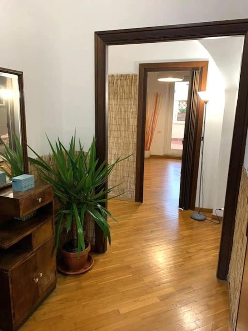 Cozy Terrace Termini Casa vacanze Roma